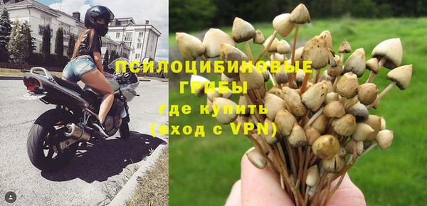 ALPHA PVP Зеленокумск