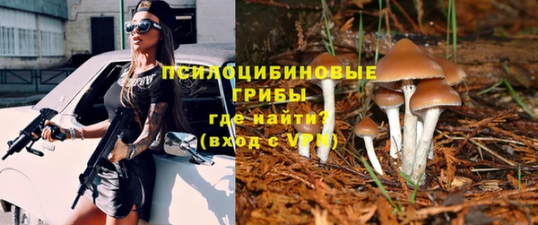 спайс Алзамай