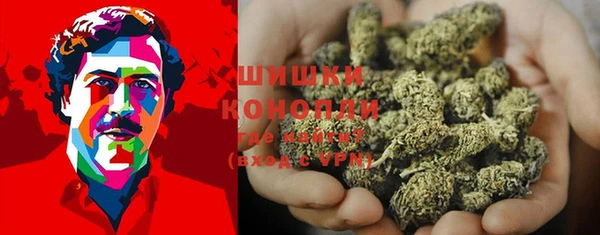 спайс Алзамай