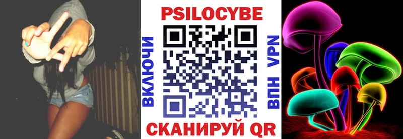 Псилоцибиновые грибы Psilocybe Светлоград